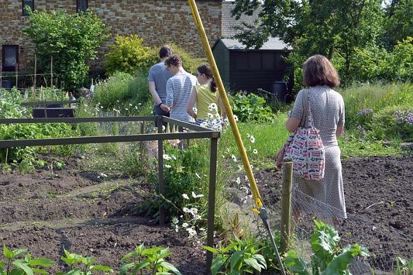 Allotments visitors.jpg